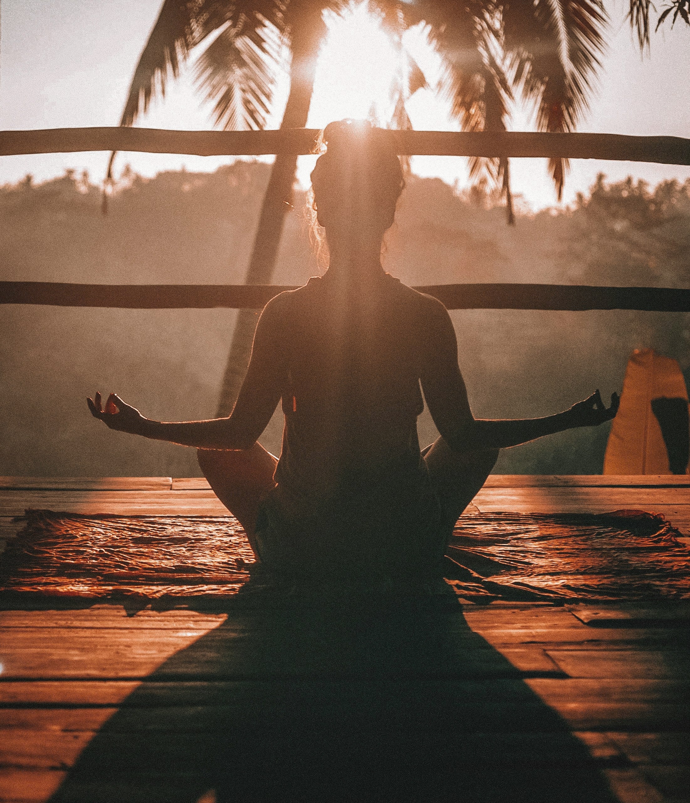 Recovery and Wellness